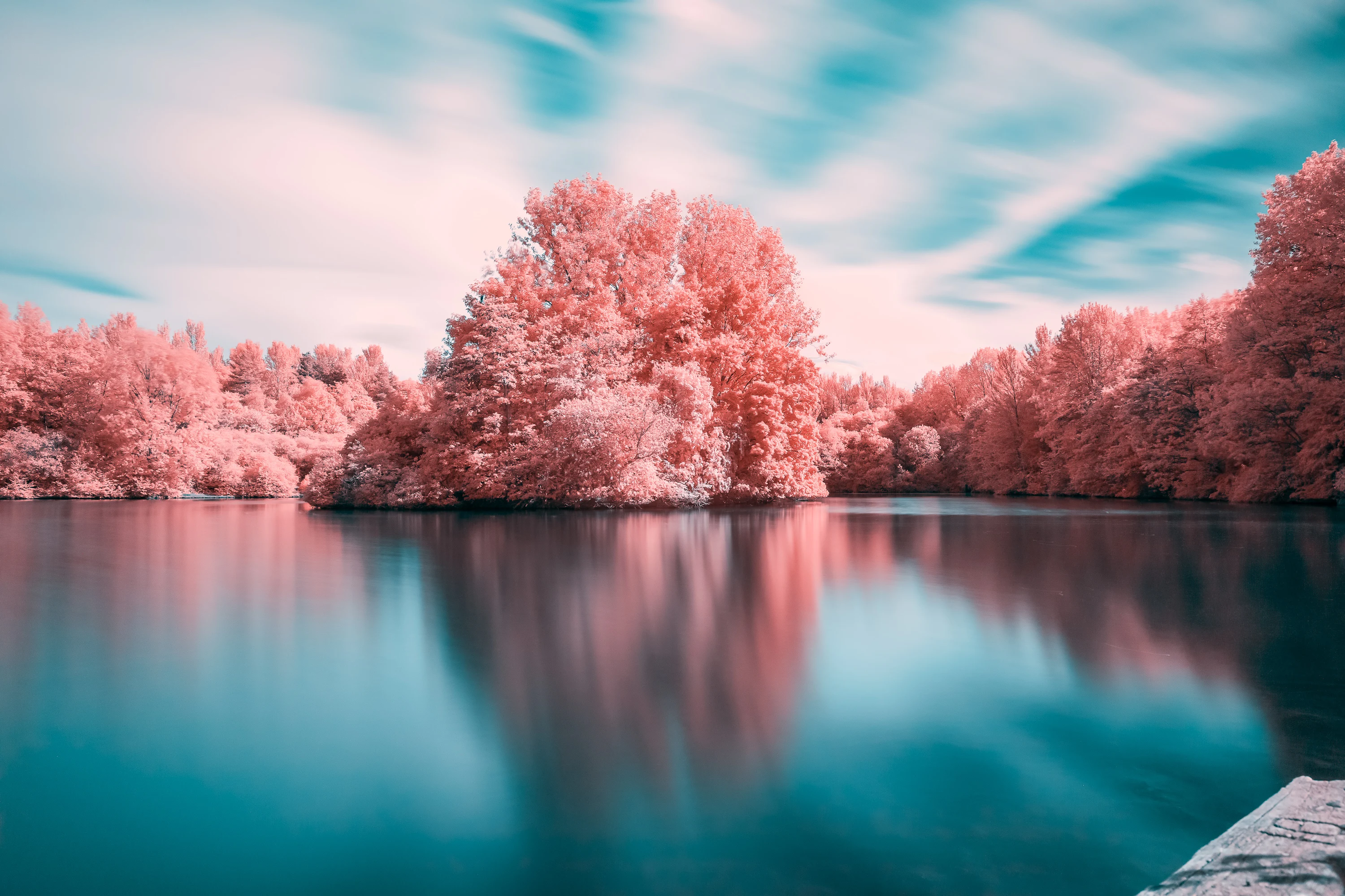 A soft false-colour infrared landscape with pastel pink foliage and deep blue tones.