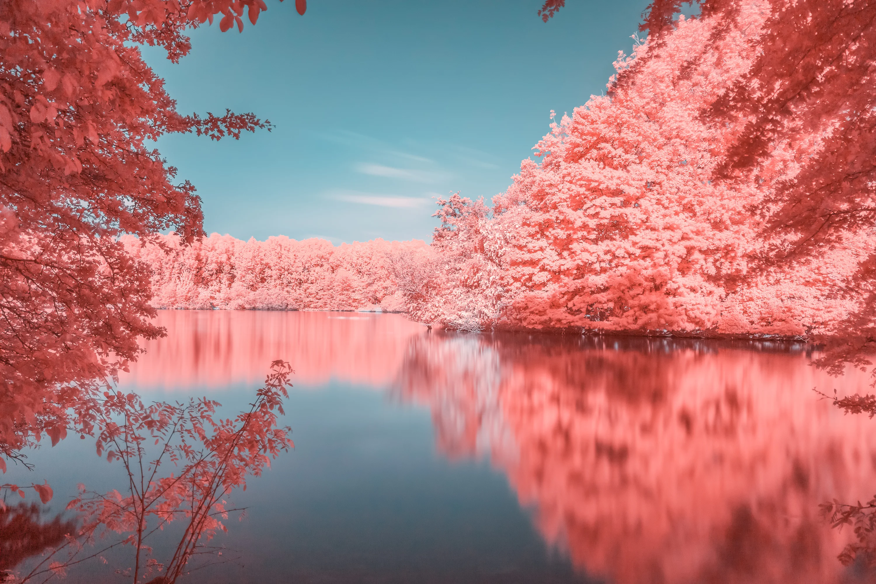 Infrared photograph by BPPhotography