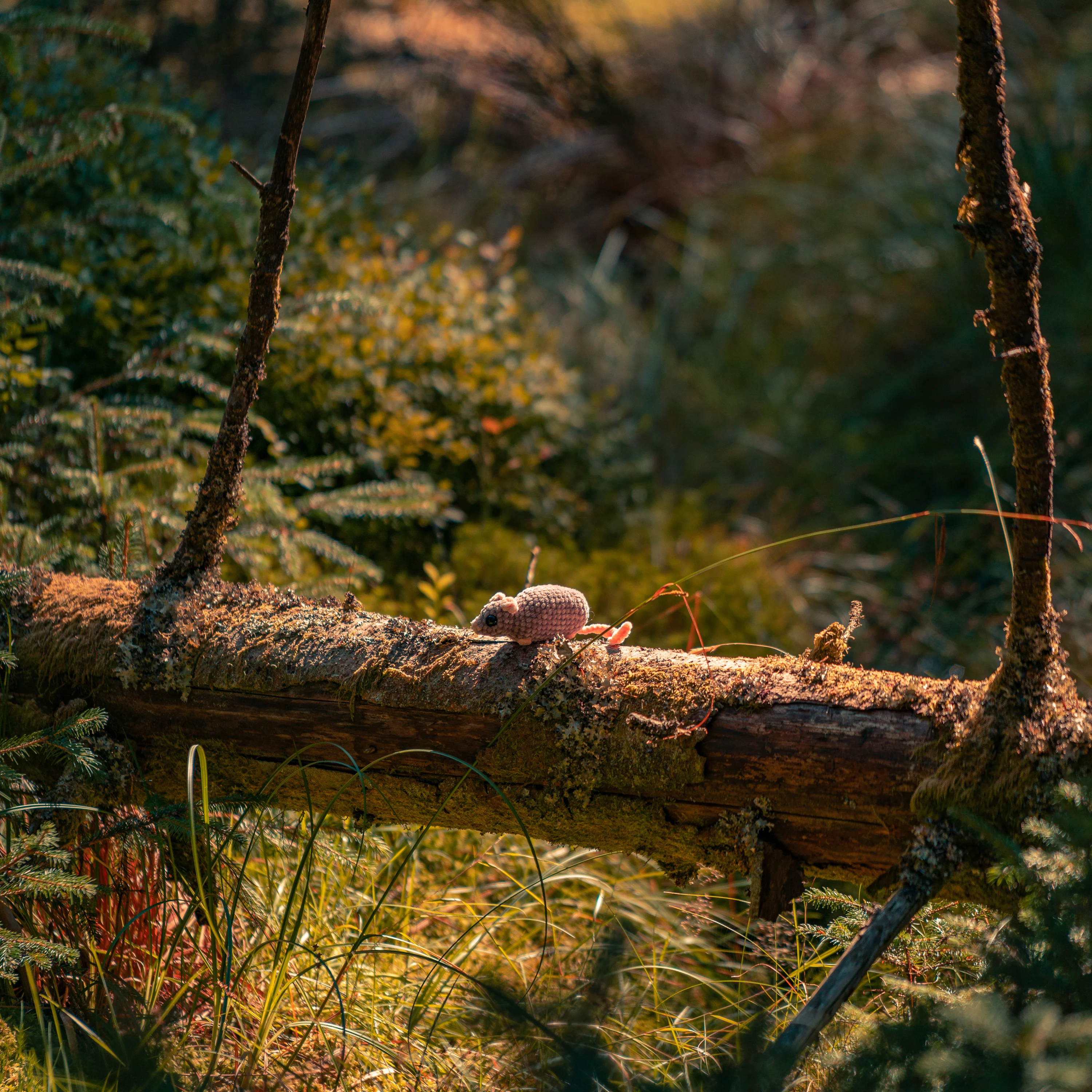 Product photograph by BPPhotography